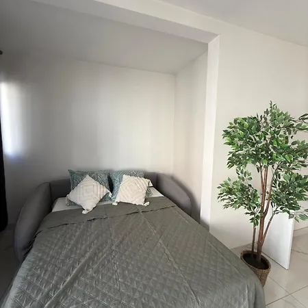 Appartement Magnifique 3 Pieces A 100m De La Nice