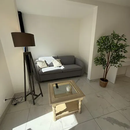 Magnifique 3 Pieces A 100m De La *